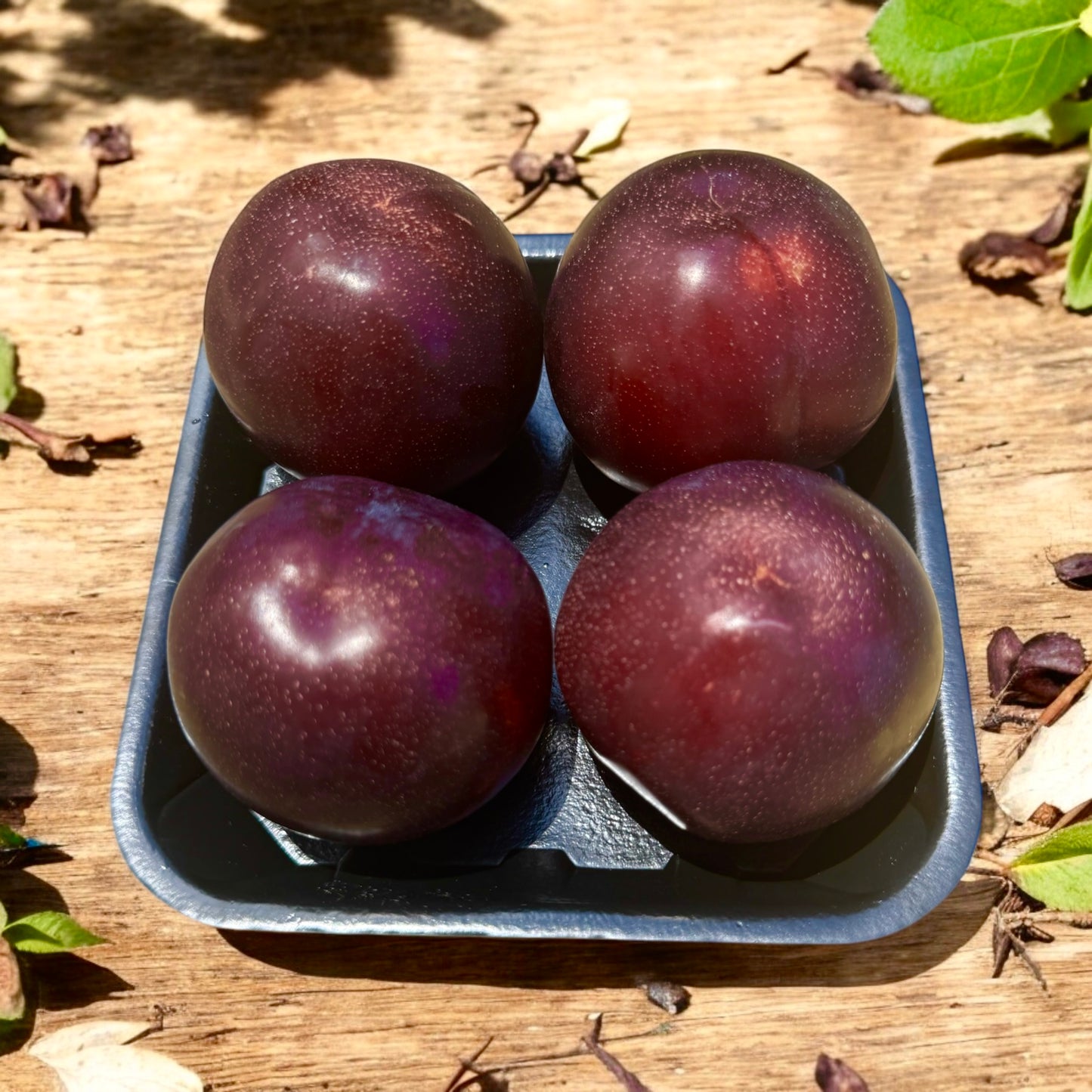 Premium New Season Plums