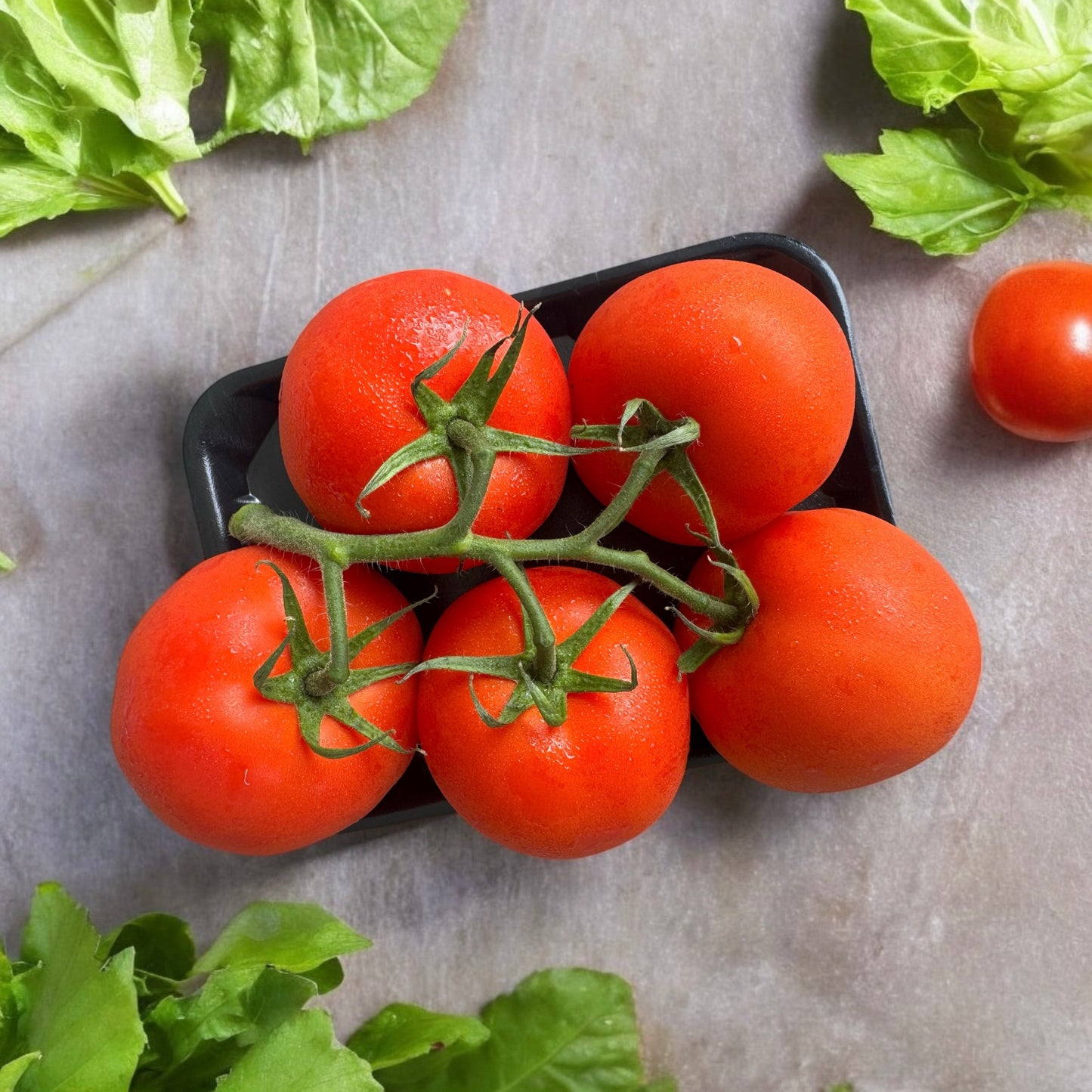 Tasty Large Hydroponic Truss Tomatoes