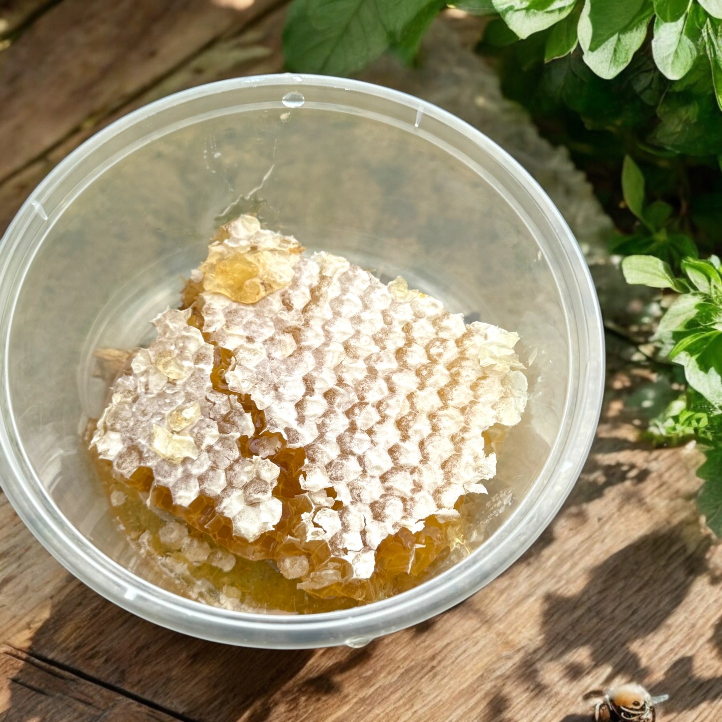 Fresh From Our Hives, Pure Honeycomb